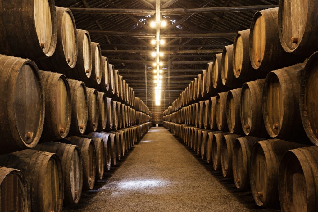 Visita in una cantina