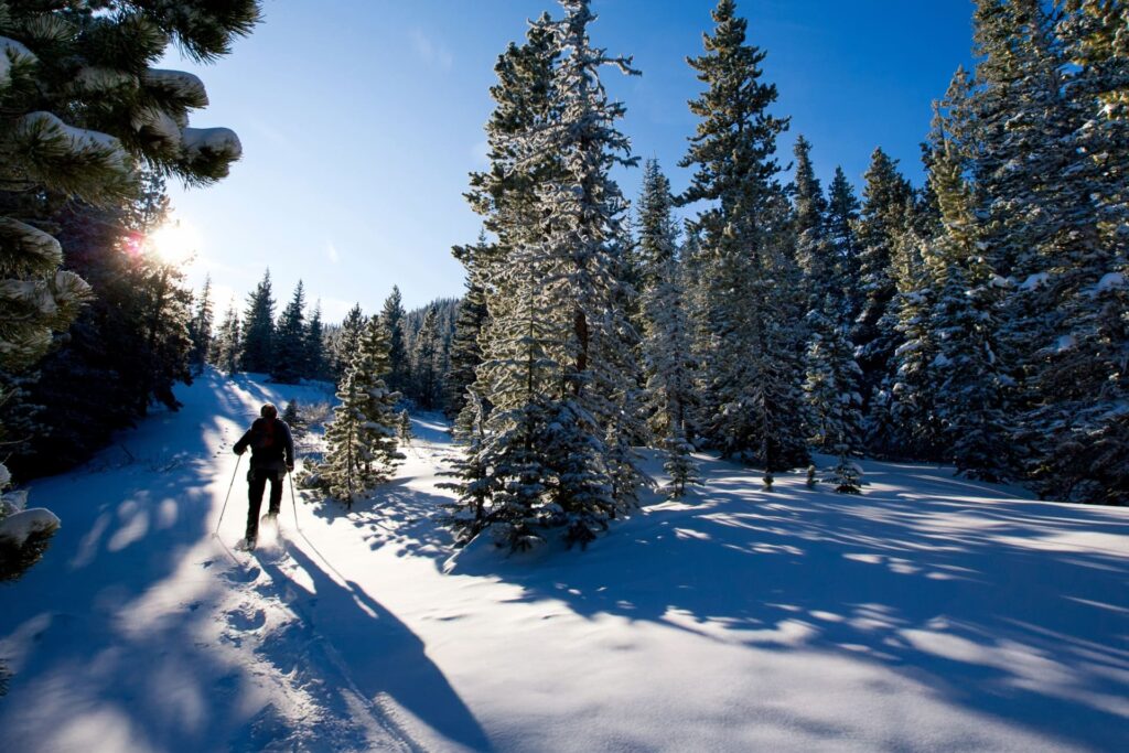 Ciaspolata panoramica a Bousson