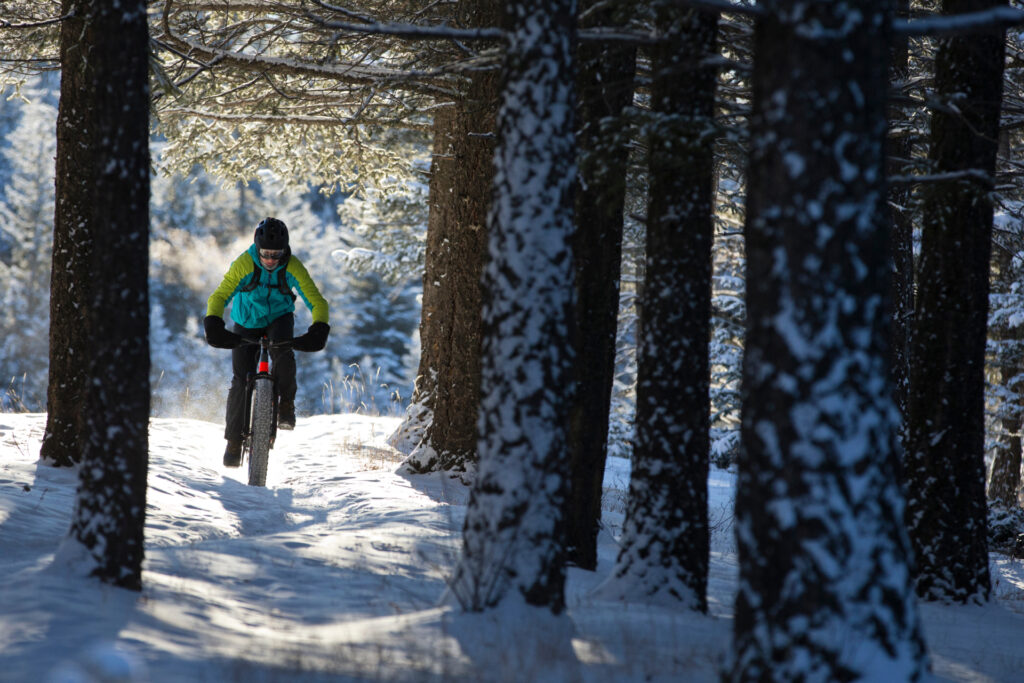 Snow e-Fatbike Experience 