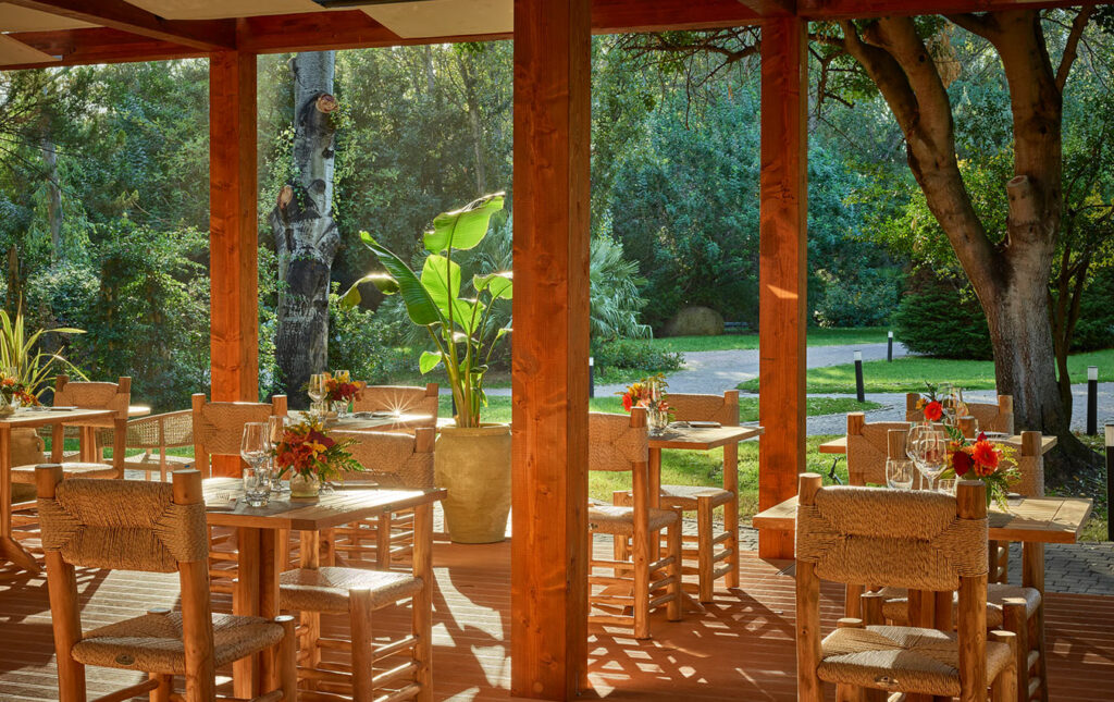 Dining Experience