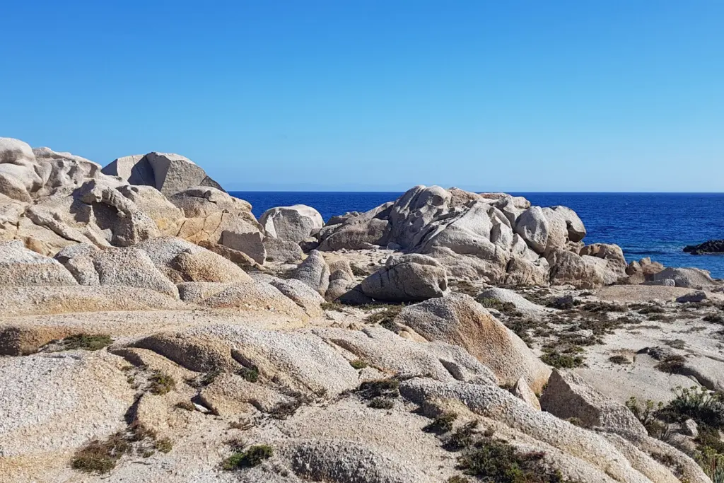 Minivan discovery Asinara